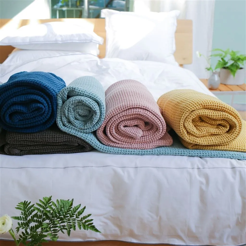 Alba Mimosa Cotton Blanket by Designers Guild