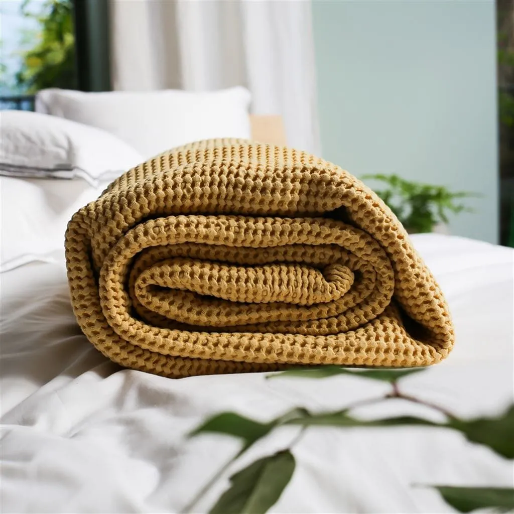 Alba Mimosa Cotton Blanket by Designers Guild