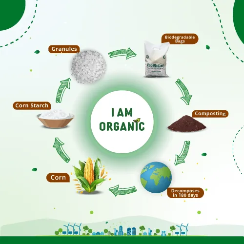 Biodegradable and Compostable D-cut Carry Bags 13x18(50pcs)