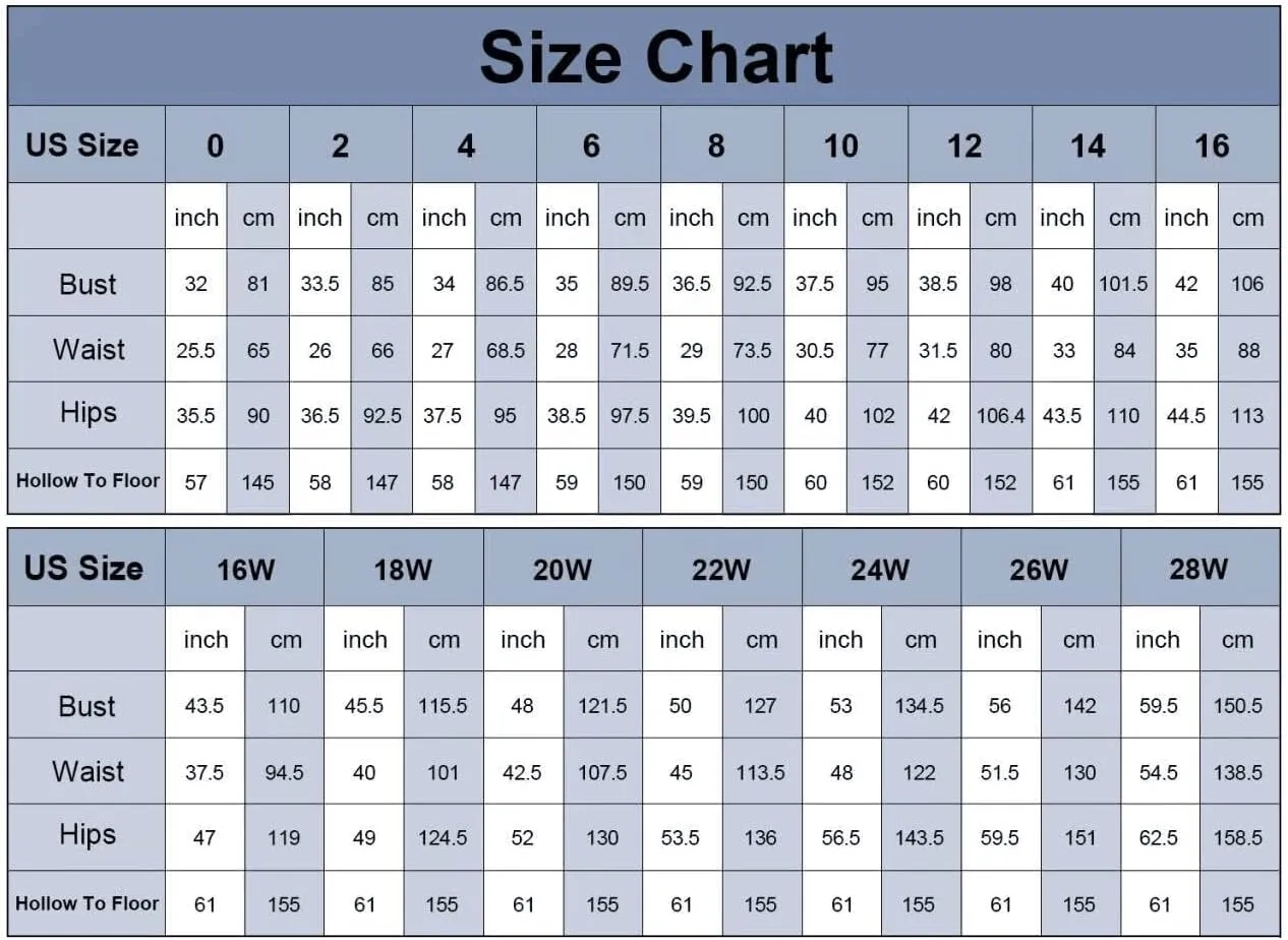 Puffy Sleeve Fairy Prom Dresses 2025 Flower Embroidery Tulles Formal Party Gowns Flower Ball Gown for Women RO011