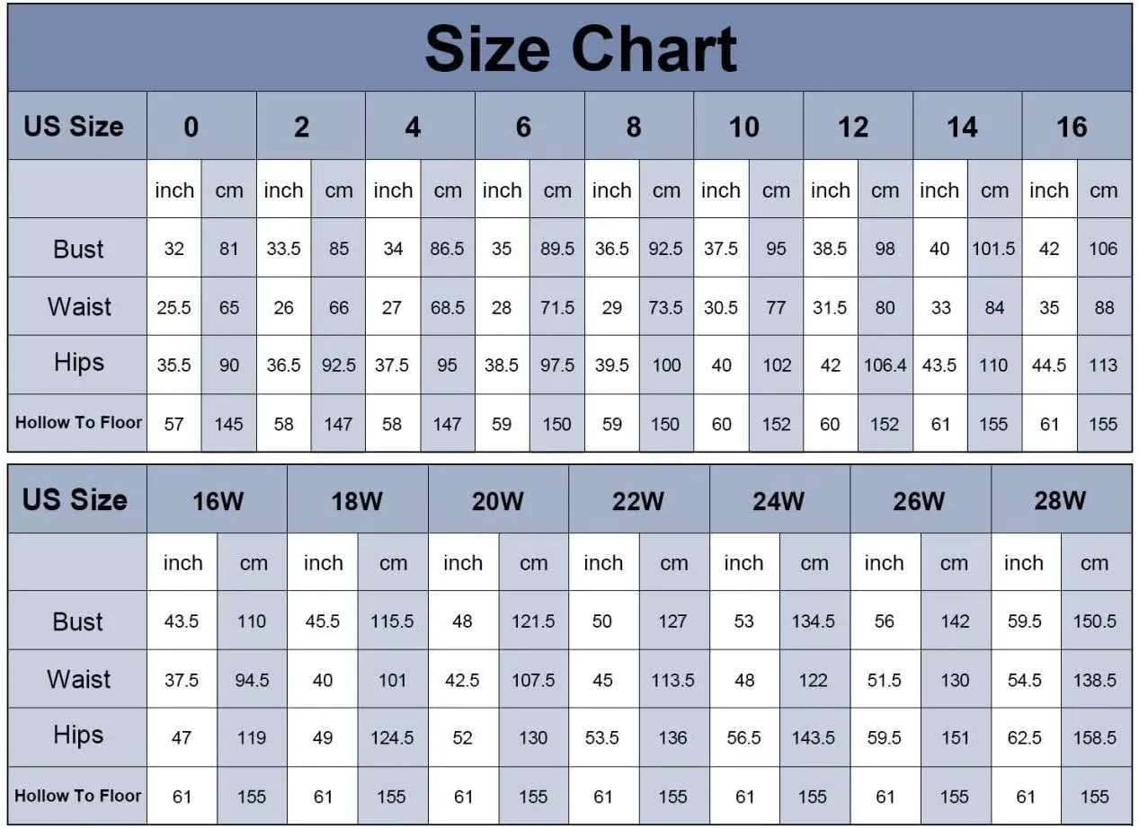 Puffy Sleeve Fairy Prom Dresses 2025 Flower Embroidery Tulles Formal Party Gowns Flower Ball Gown for Women RO011
