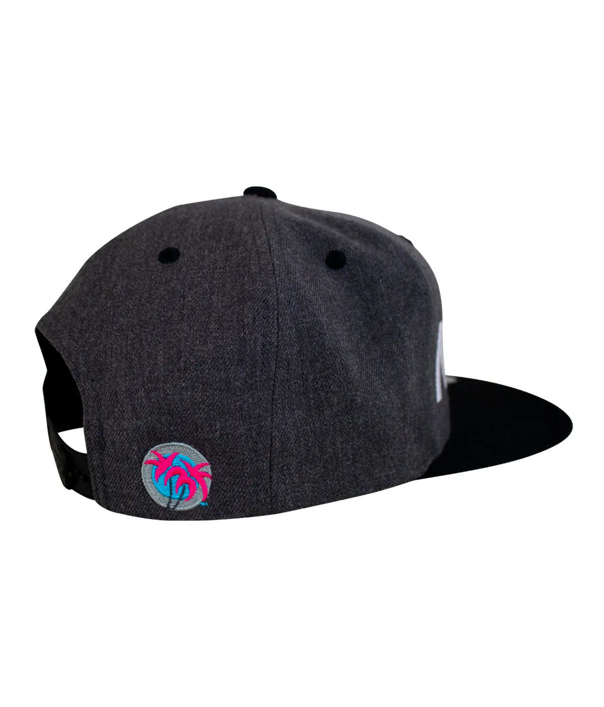 "The Tube" Flatbill Snapback Hat